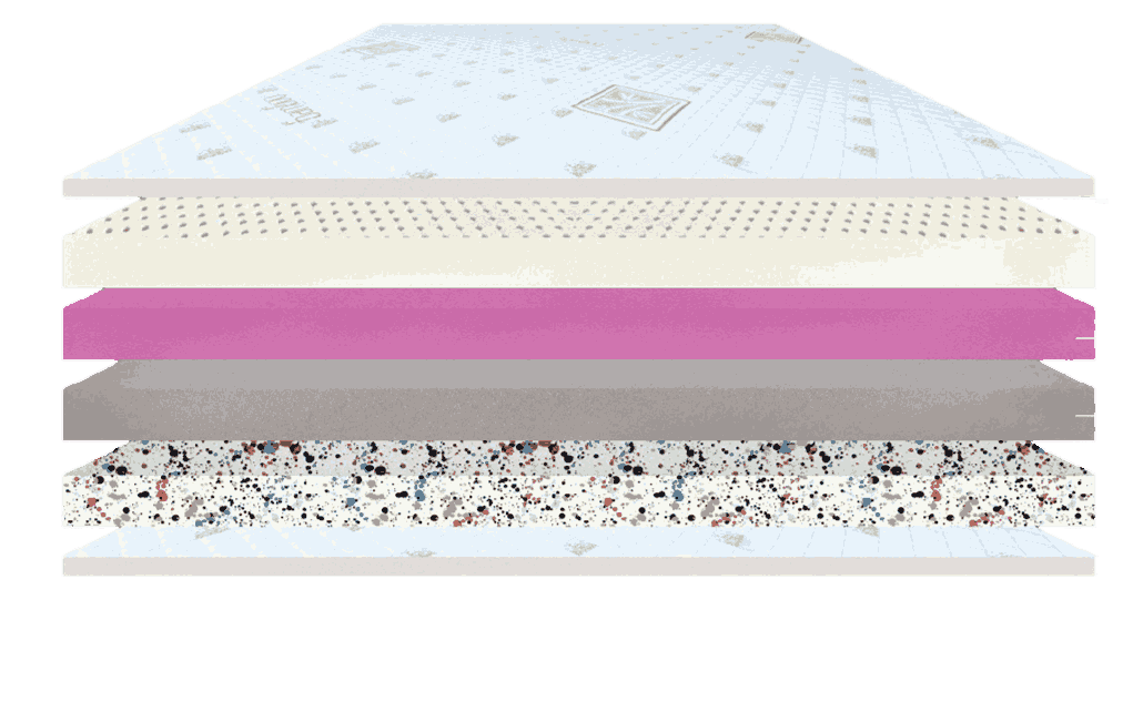 Orgnaic plus